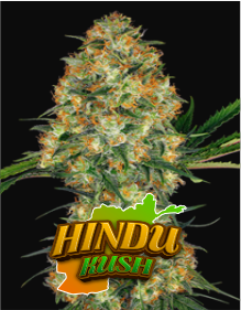 hindu-kush