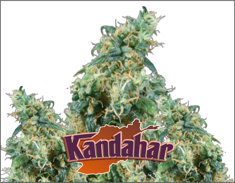 kandahar-product1