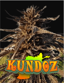 kundoz