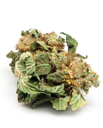 Afghan Auto